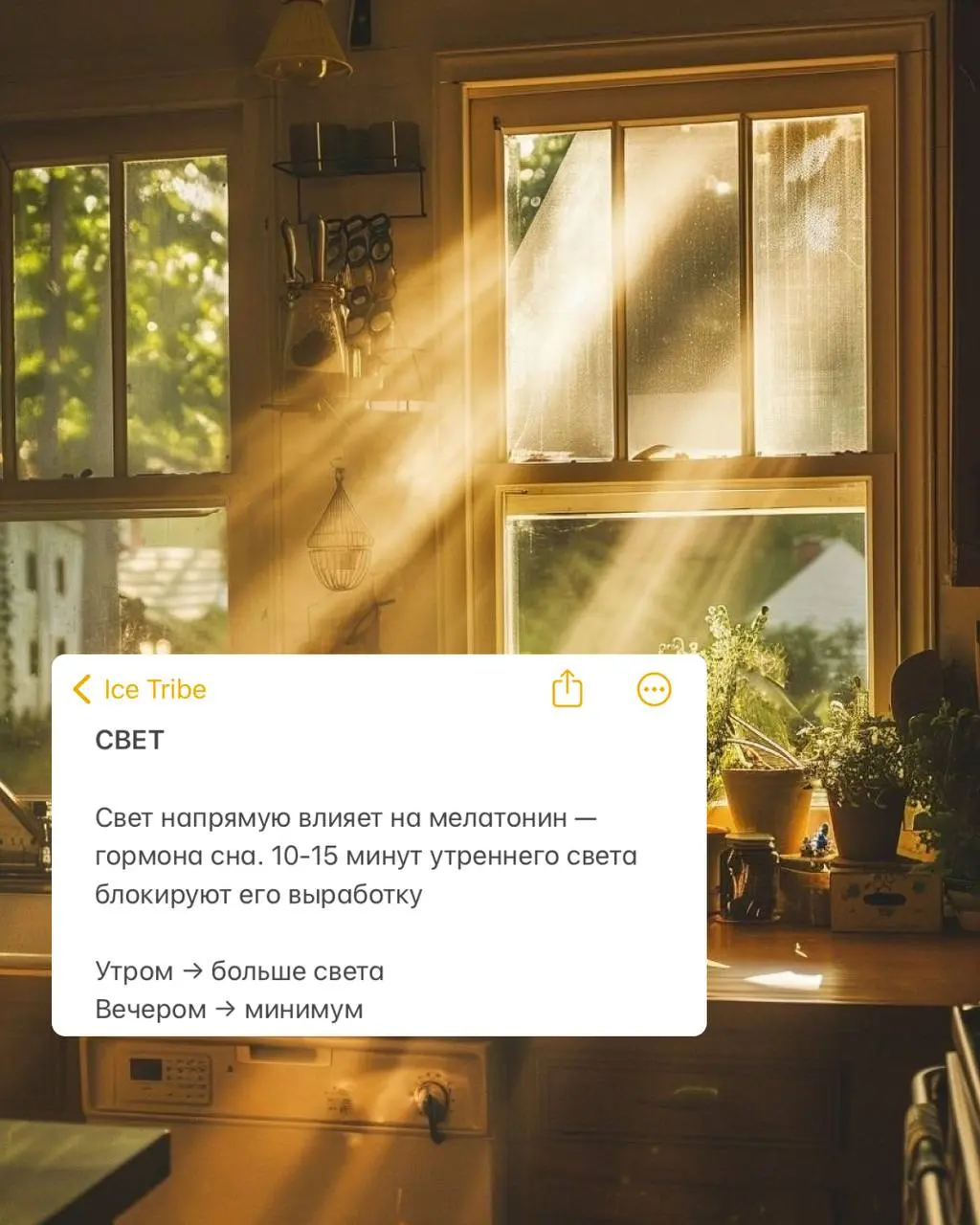 ✈️ Джетлаг — как остаться в ресурсе, когда самолет приземлился в другом времени суток
Если не хочешь страдать первые 3 дня путешествия, действуй грамотно
🕒 За 48 часов до вылета
Сдвигаем режим сна/бод... | Сетка — социальная сеть от hh.ru