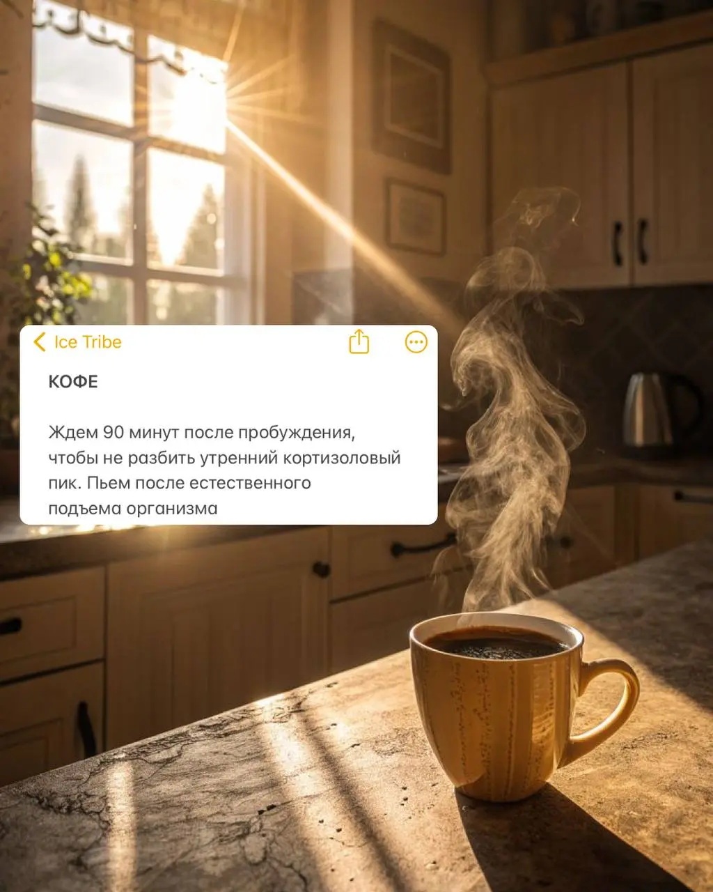 ✈️ Джетлаг — как остаться в ресурсе, когда самолет приземлился в другом времени суток
Если не хочешь страдать первые 3 дня путешествия, действуй грамотно
🕒 За 48 часов до вылета
Сдвигаем режим сна/бод... | Сетка — социальная сеть от hh.ru
