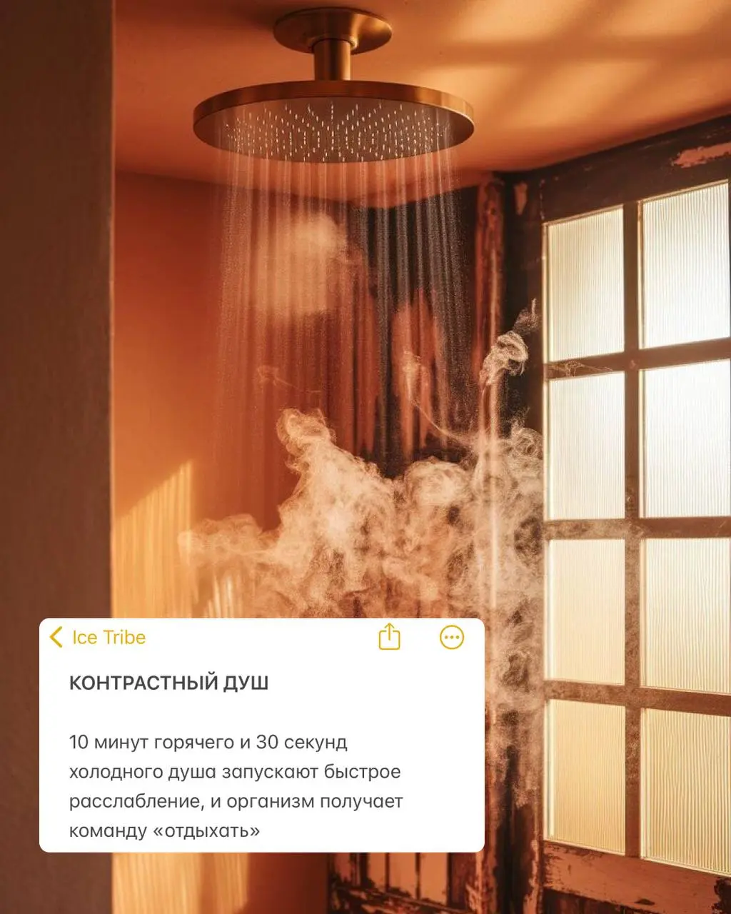 ✈️ Джетлаг — как остаться в ресурсе, когда самолет приземлился в другом времени суток
Если не хочешь страдать первые 3 дня путешествия, действуй грамотно
🕒 За 48 часов до вылета
Сдвигаем режим сна/бод... | Сетка — социальная сеть от hh.ru