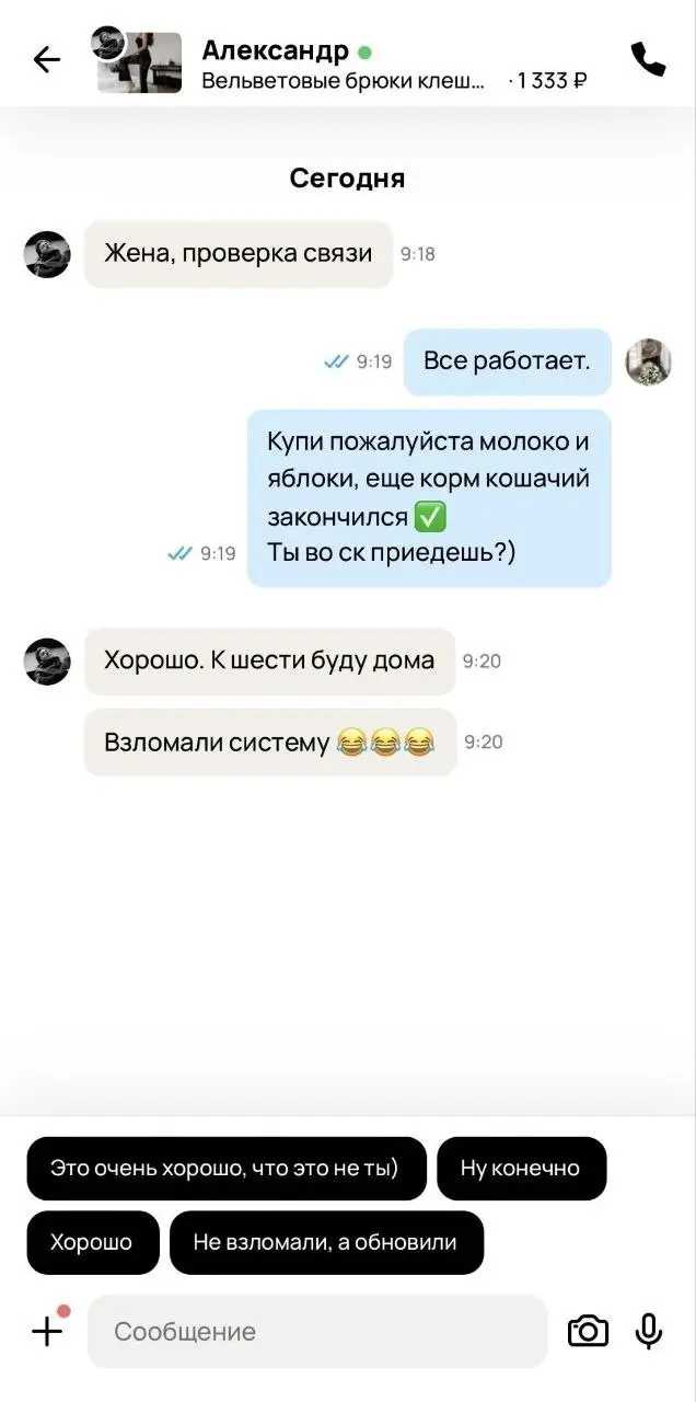 Россияне перенесли переписки в Авито после блокировки всех популярных мессенджеров | Сетка — социальная сеть от hh.ru