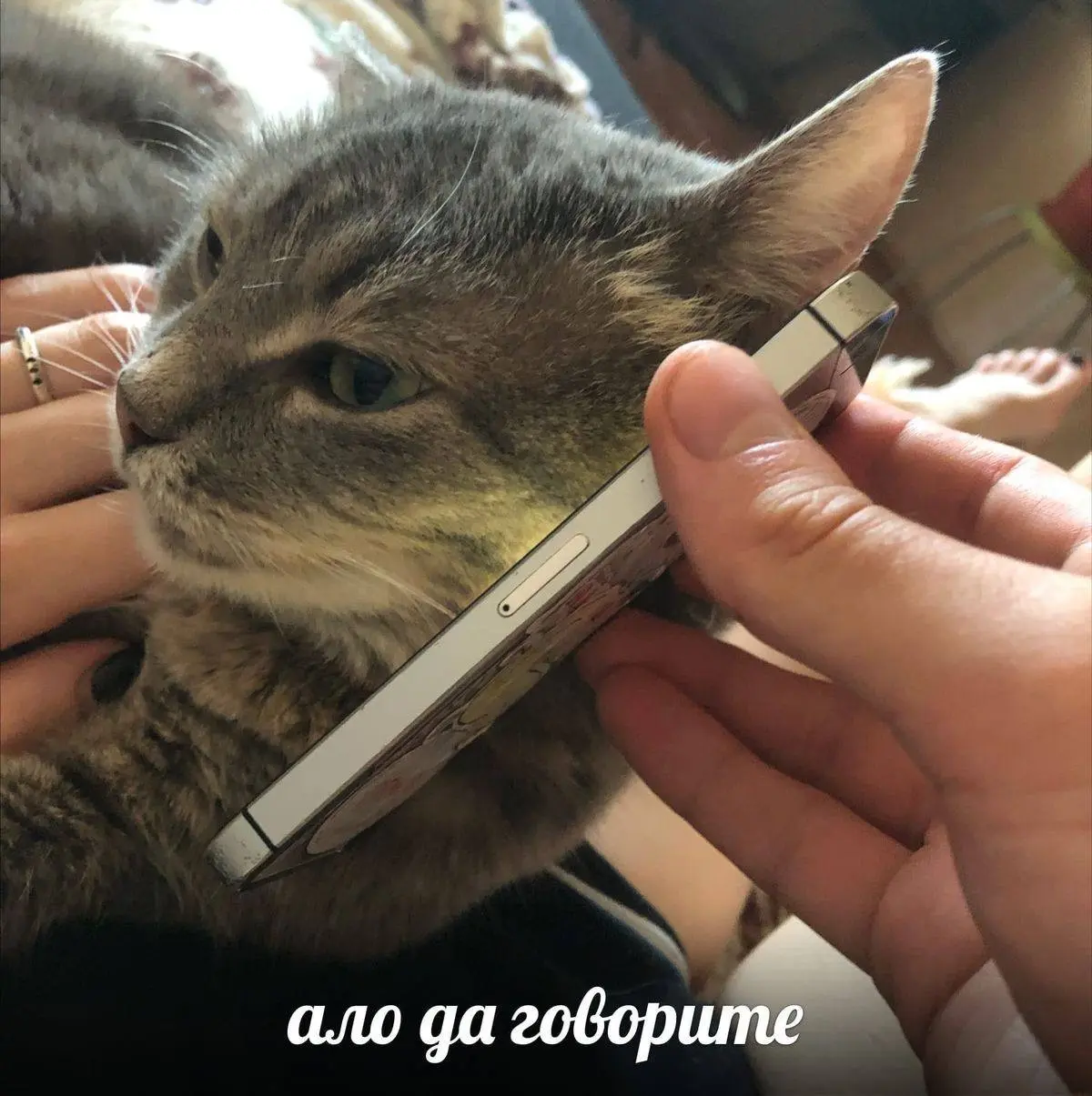 Лить рекламу на клинику без онлайн-записи — можно | Сетка — социальная сеть от hh.ru