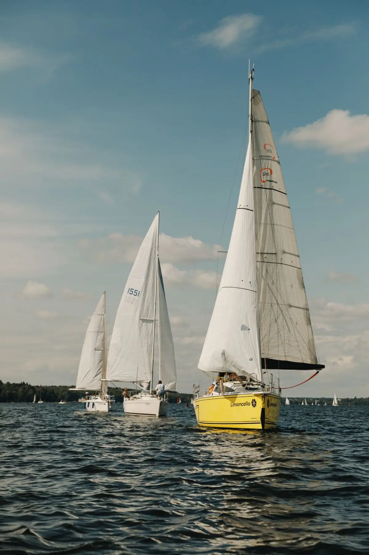🌊 Добро пожаловать в мир водных приключений с Moscowsailing | Сетка — социальная сеть от hh.ru
