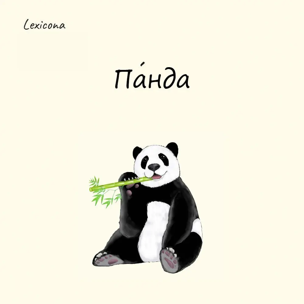 Панда
Слово "панда" пришло к нам из Непала. На их языке это "нигалья понъя", что значит "пожиратель бамбука". Французы взяли это выражение и сделали из него "panda" | Сетка — социальная сеть от hh.ru