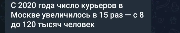 Skillbox увеличил долю трудоустроенных выпускников в 15 раз | Сетка — социальная сеть от hh.ru
