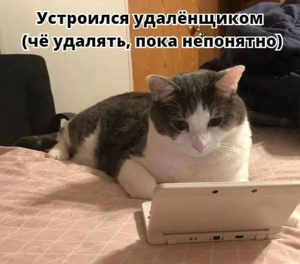 Госопыт: прокачала всё, кроме перспектив в карьере | Сетка — социальная сеть от hh.ru