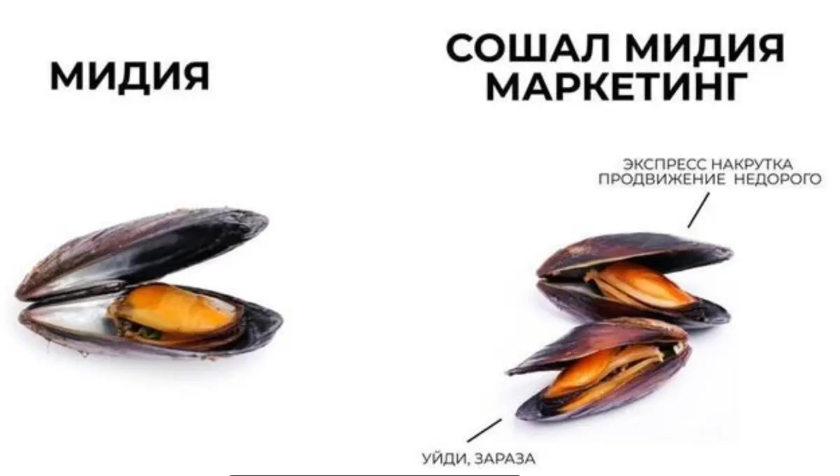 Как натянуть на глобус нарисованные маркетинговые показатели | Сетка — социальная сеть от hh.ru