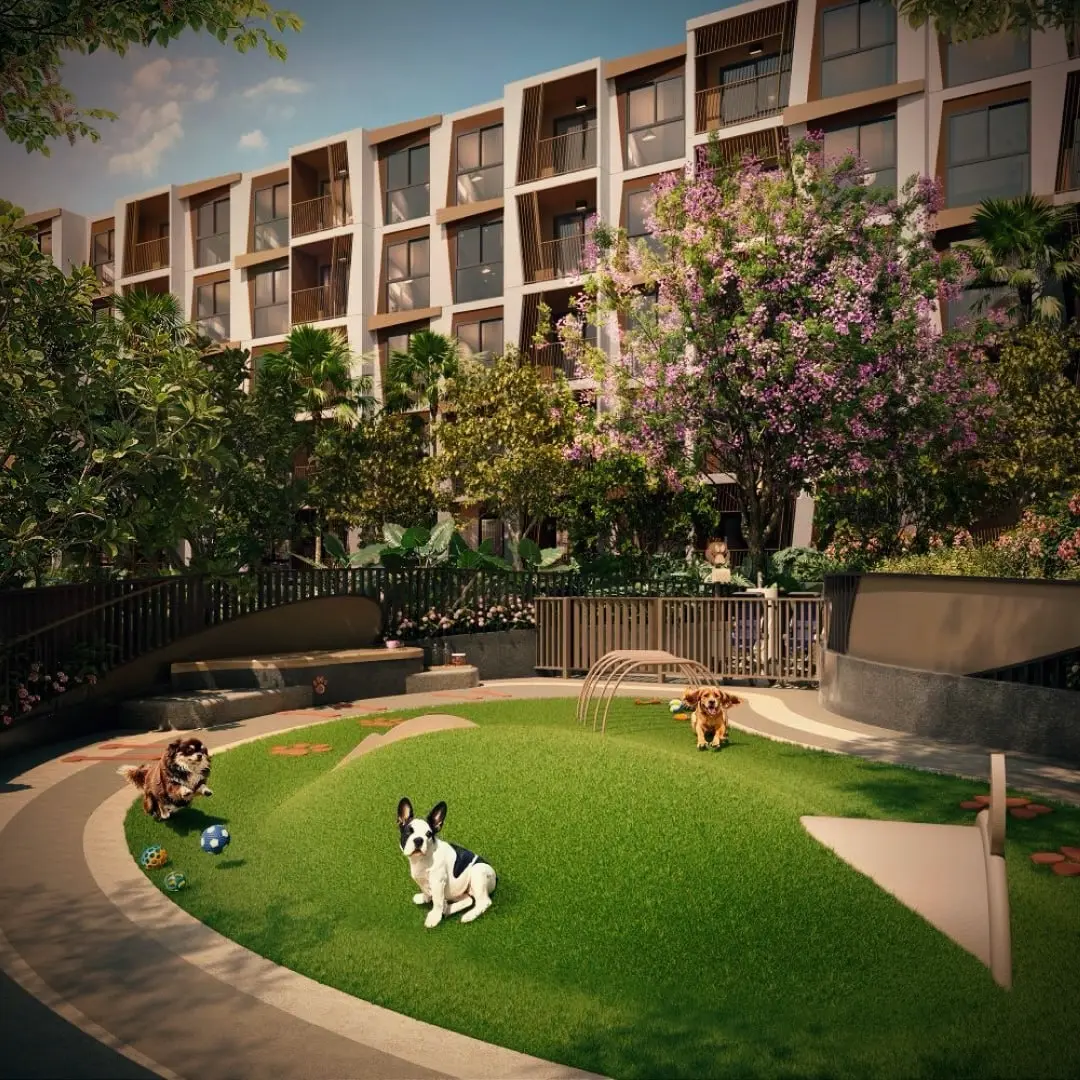 🌴Рхеа (Rhea) – жемчужина Пхукета между пляжами Сурин и Банг | Сетка — социальная сеть от hh.ru