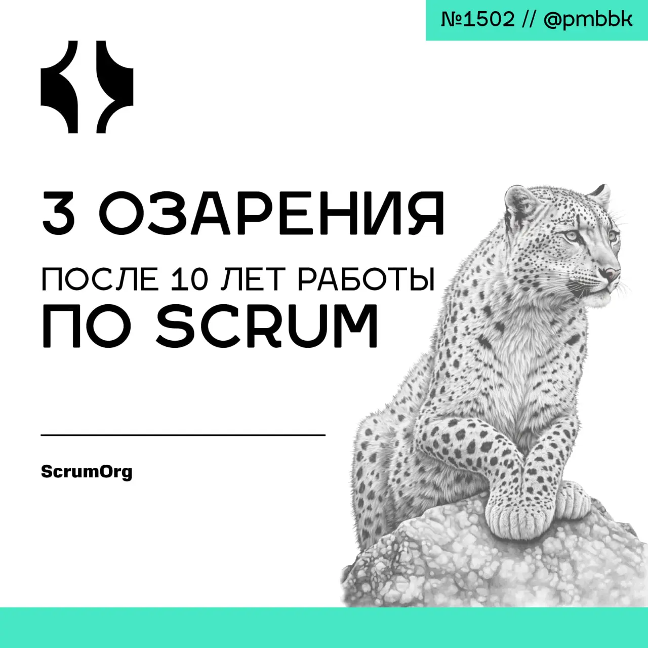 💡 3 озарения после 10 лет работы по Scrum
Владельцы продукта часто ошибочно считают себя капитанами корабля, единолично определяющими цель спринта | Сетка — социальная сеть от hh.ru