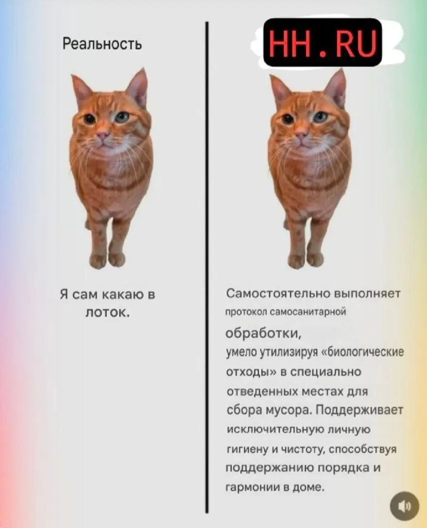 Узнали свое резюме? | Сетка — социальная сеть от hh.ru