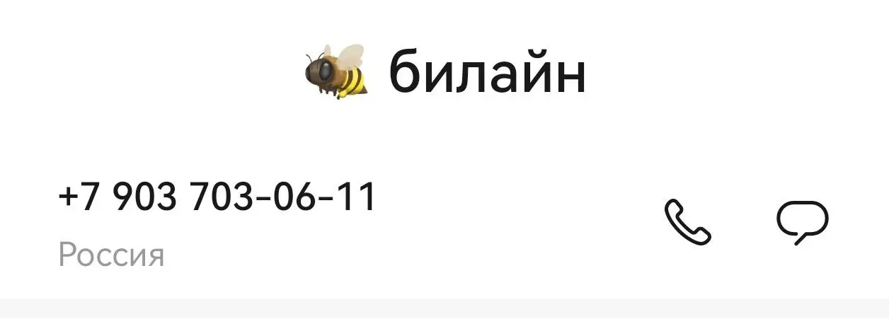 Впервые вижу смайлы в именах входящих номеров Оо. Уточню, что такого номера у меня в телефонной книжке нет, и это не я его так назвал. Звонила служба качества билайна. | Сетка — социальная сеть от hh.ru