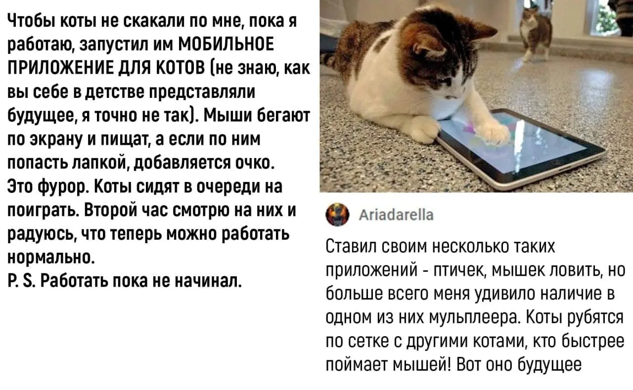 Спонсор твоей прокрастинации. Залетай 🔥 | Сетка — социальная сеть от hh.ru