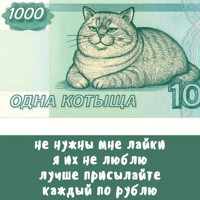 #hh #memes #мемы | Сетка — социальная сеть от hh.ru