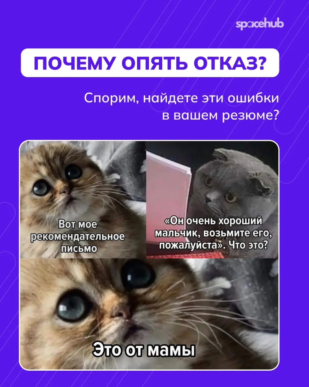 Труженики! 🐝
Каким резюме мы отправляем отказы?
Уже собрали для вас подборку ошибок, которые мы видим в каждом первом резюме ☝🏻
Обязательно проверьте себя, чтобы откликаться на сегодняшнюю подборку ва... | Сетка — социальная сеть от hh.ru