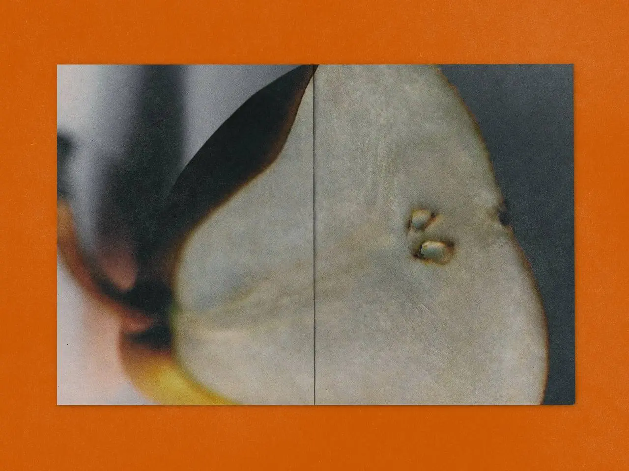 Разработка многостраничного печатного издания на тему «Аромакультура: искусство парфюмерии и назальной ностальгии» 🌺
Полный проект здесь
Журнал представляет собой жанр интеллектуального, сенсорного ди... | Сетка — социальная сеть от hh.ru