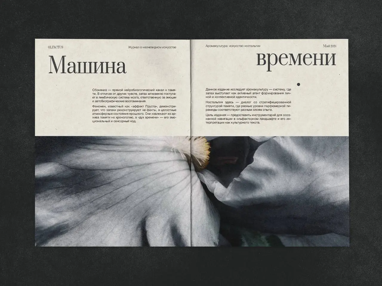 Разработка многостраничного печатного издания на тему «Аромакультура: искусство парфюмерии и назальной ностальгии» 🌺
Полный проект здесь
Журнал представляет собой жанр интеллектуального, сенсорного ди... | Сетка — социальная сеть от hh.ru