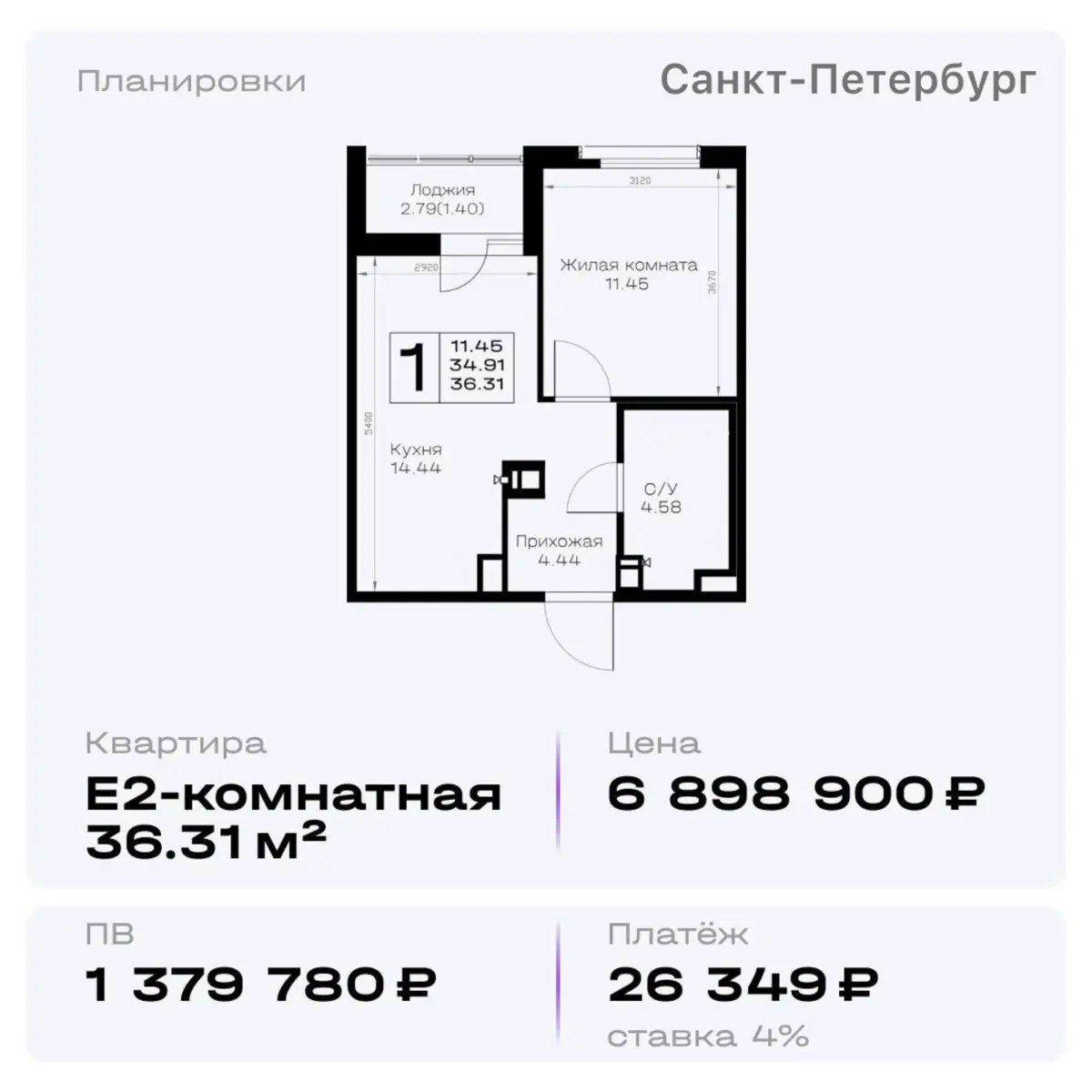 🌲Лесная  сторона петербургской жизни | Сетка — социальная сеть от hh.ru