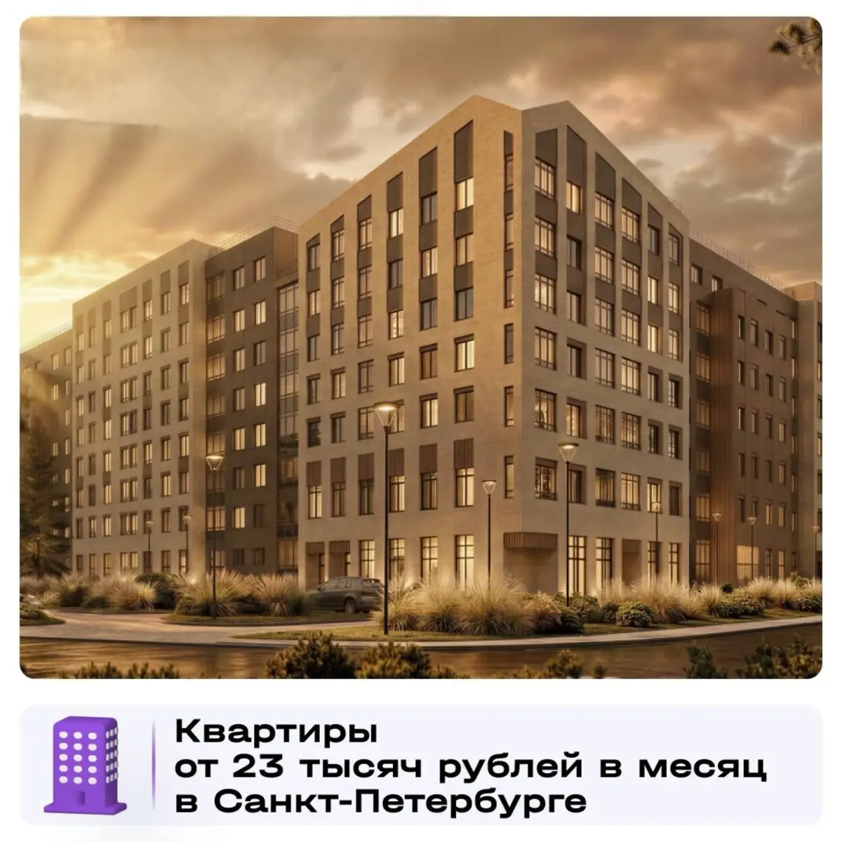 🌲Лесная  сторона петербургской жизни | Сетка — социальная сеть от hh.ru