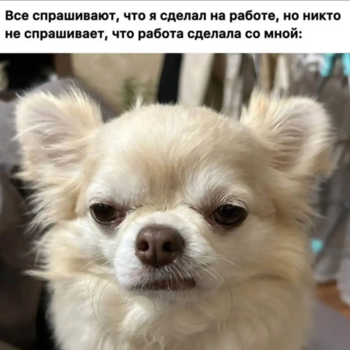 Речевые маркеры деструктивного руководства | Сетка — социальная сеть от hh.ru