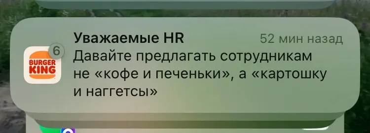 Лучший push, который я видела 😁 | Сетка — социальная сеть от hh.ru