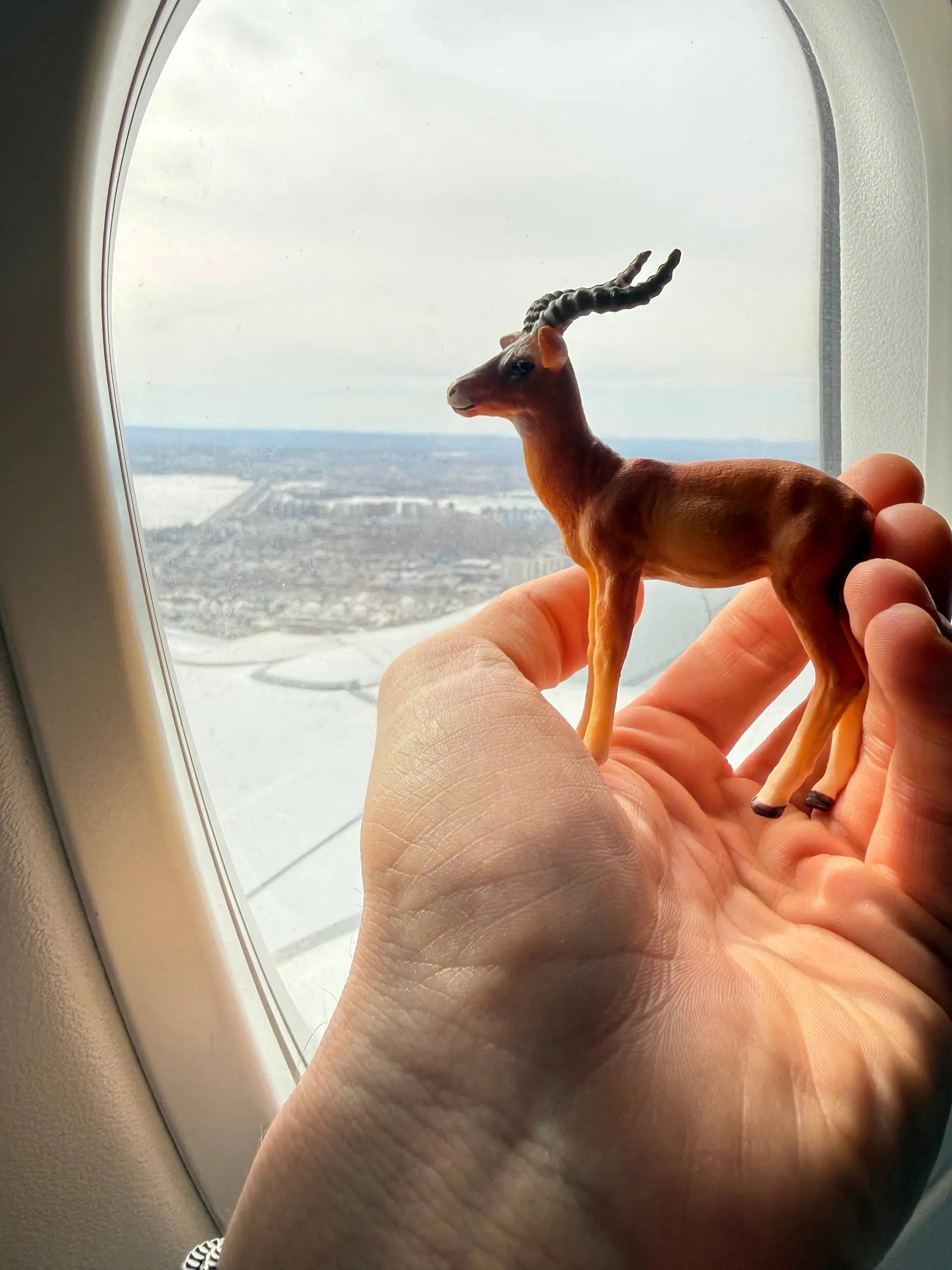 ✈️ | Сетка — социальная сеть от hh.ru