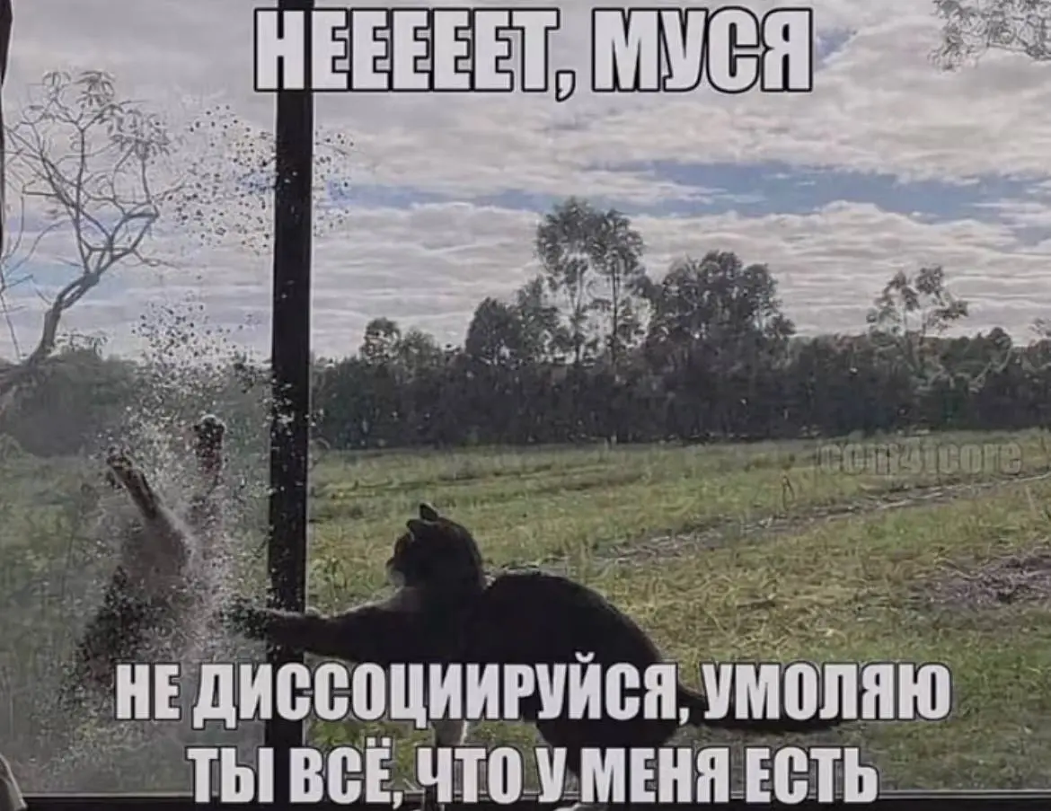 С февраля и до середины марта сидела в какой-то лютой луже | Сетка — социальная сеть от hh.ru