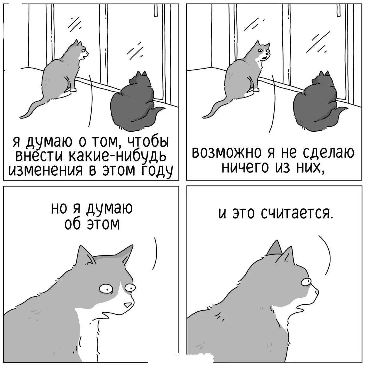 Главное - маленькие шаги 😂
#Юмор@poldner #Коты@poldner | Сетка — социальная сеть от hh.ru