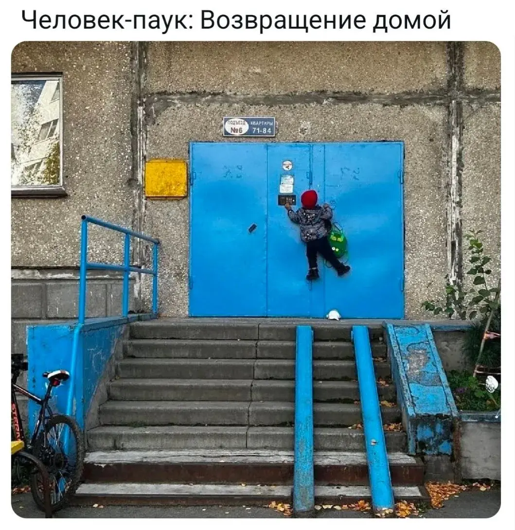 Предназначение людей Чести | Сетка — социальная сеть от hh.ru