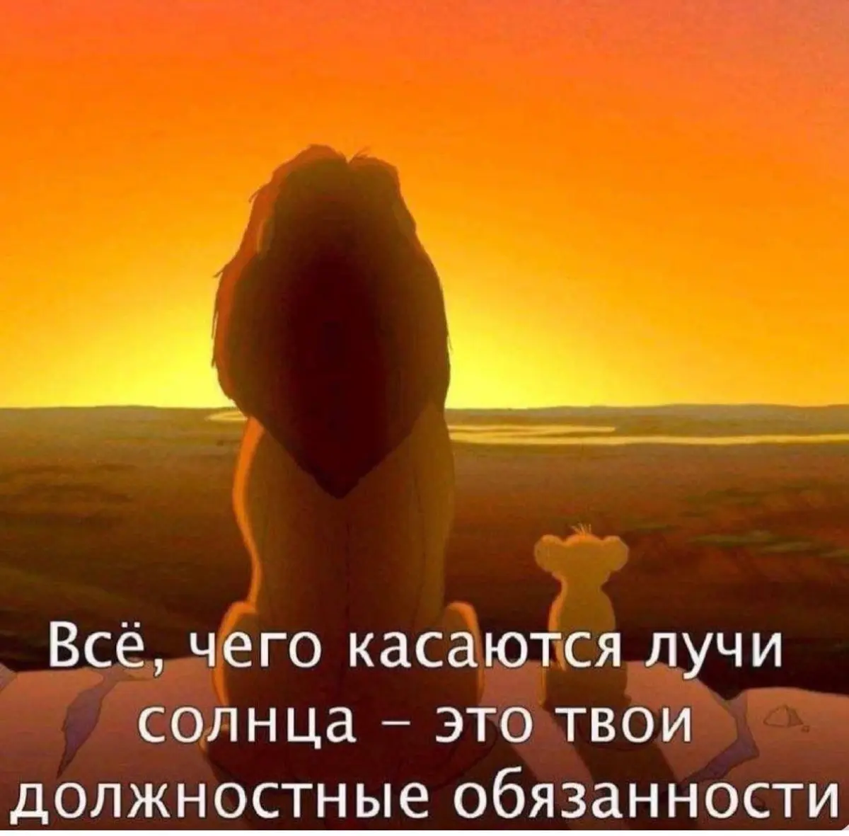 Сетка — социальная сеть от hh.ru