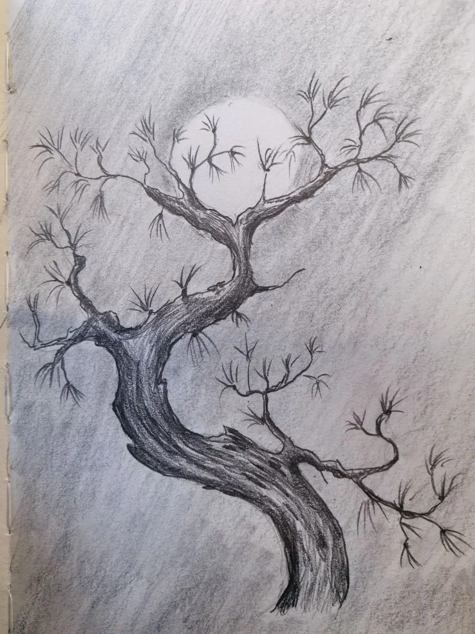 Доброе утро!
Тема недели рисовального челленджа - Япония!
Когда я думаю о Японии, первое, что приходит на ум — бонсай | Сетка — социальная сеть от hh.ru