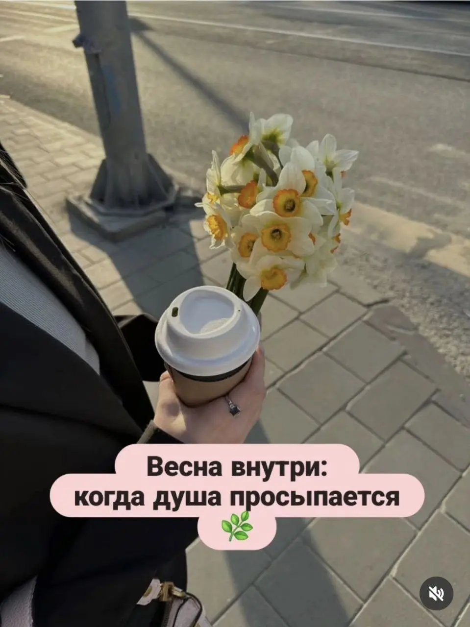 🌿Весна — это не только про талый снег. Это про то, как в нас просыпаются забытые желания | Сетка — социальная сеть от hh.ru