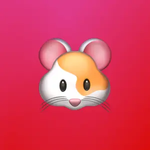 Настя Силига