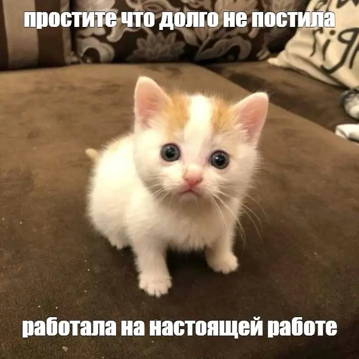 👀Я месяц не заходила в Сетку | Сетка — социальная сеть от hh.ru