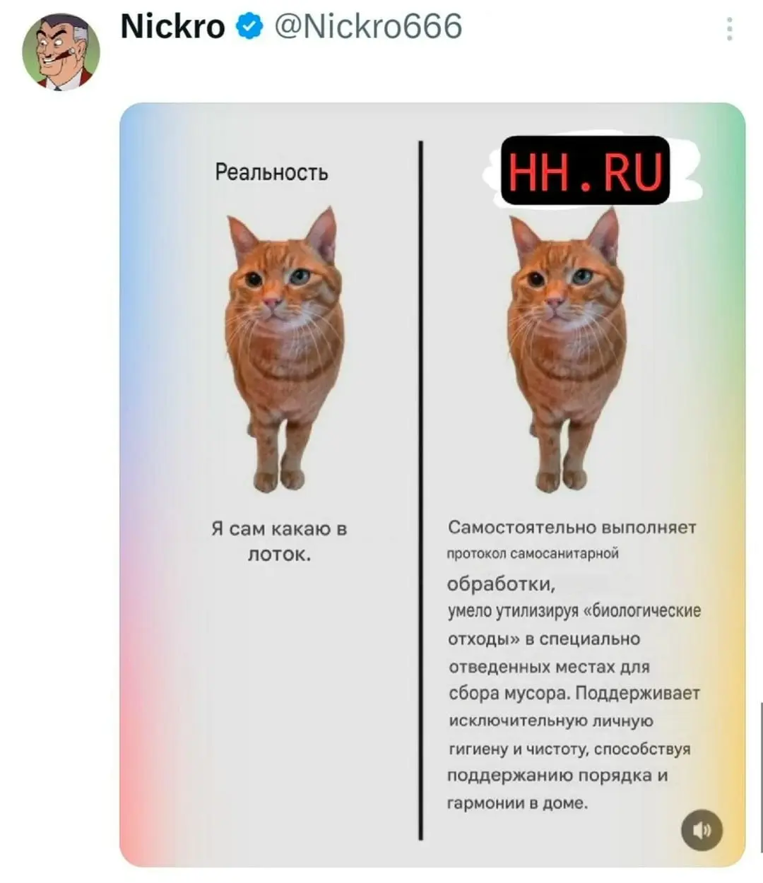 Подписка оформляется быстрее, чем ты пьешь кофе 🍺 | Сетка — социальная сеть от hh.ru