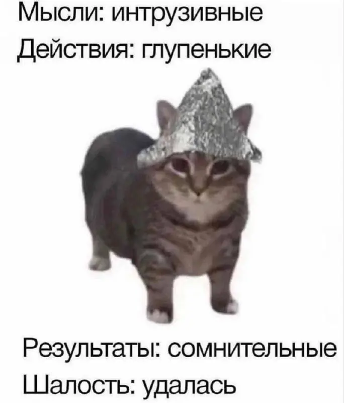 #cats #life | Сетка — социальная сеть от hh.ru