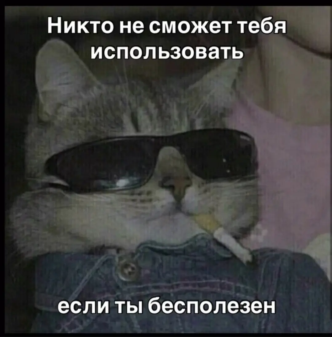 Ставка не зашла | Сетка — социальная сеть от hh.ru