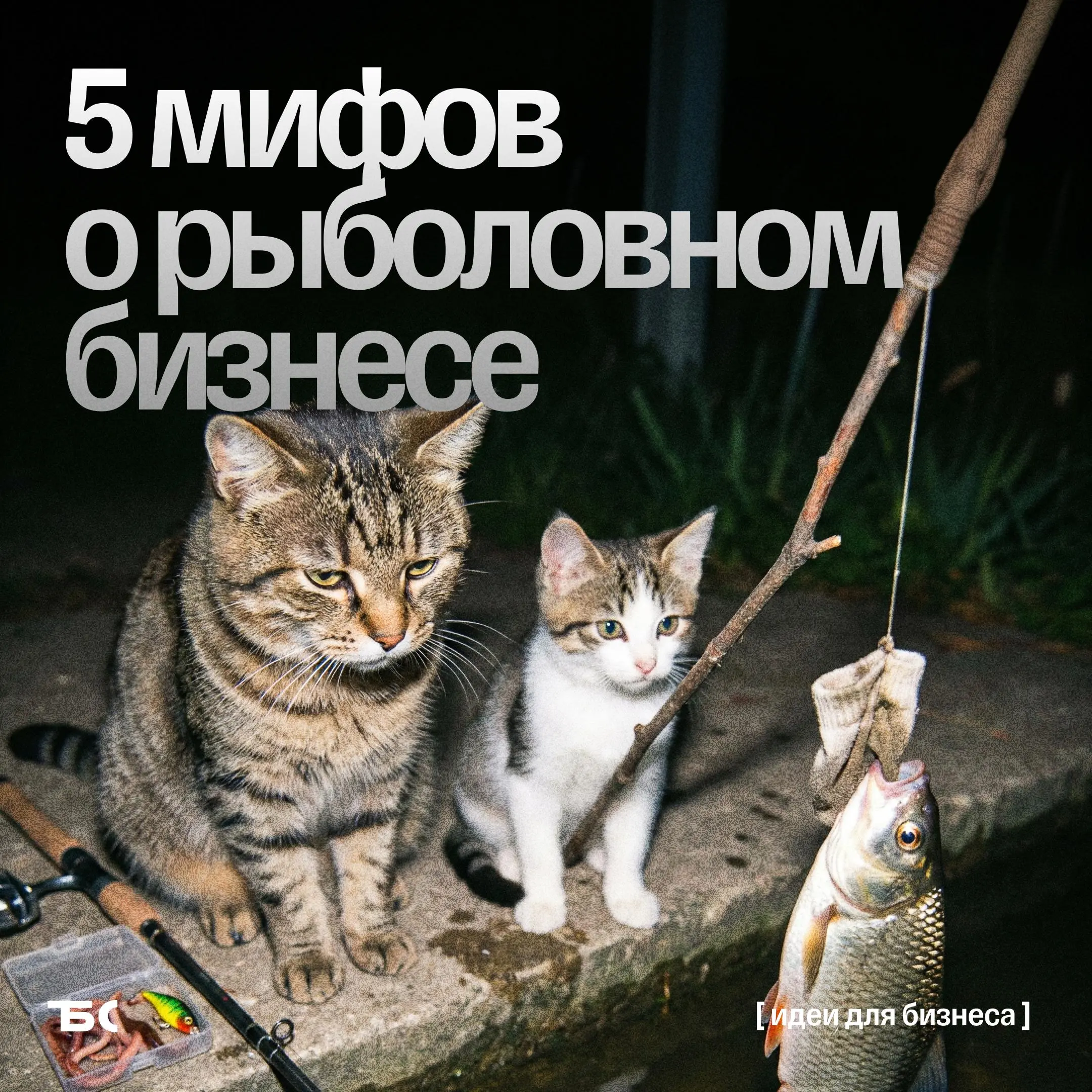 Рыболовный бизнес глазами предпринимателя: ожидания vs реальность
Рыболовный магазин — что может быть проще? Открылся к сезону, купил подешевле, продал подороже. Ниша популярная, клиентов хватит всем | Сетка — социальная сеть от hh.ru