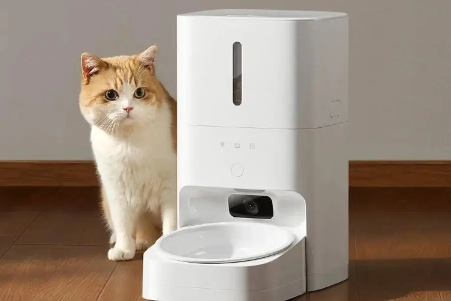 Xiaomi анонсировала умную кормушку для котов со встроенной камерой, позволяющей записать гигабайты контента, как ваш котик кушает | Сетка — социальная сеть от hh.ru
