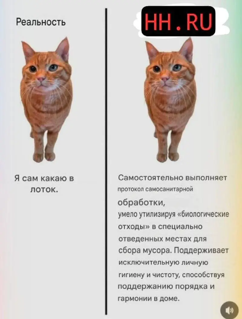 #true | Сетка — социальная сеть от hh.ru