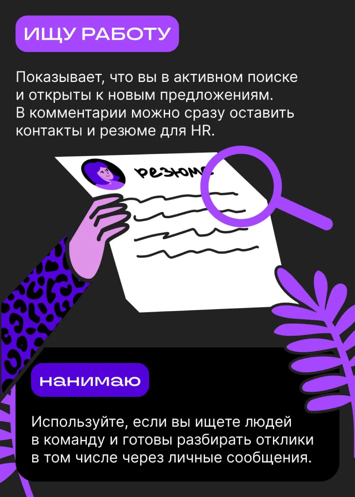 Нанимаю, нетворкаю, менторю… Что же выбрать? | Сетка — социальная сеть от hh.ru