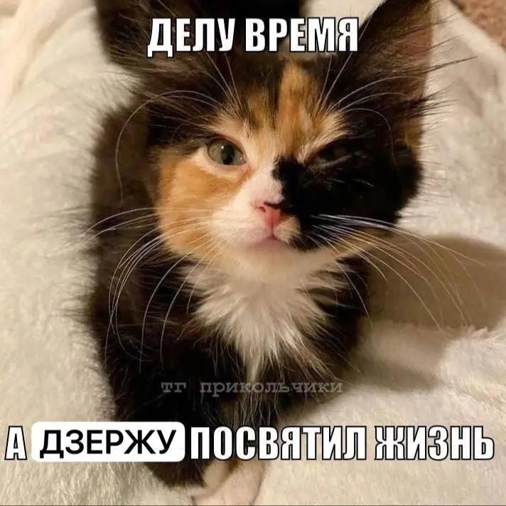 Как расшифровывается УРО МООО «РСО»…
Устав - один из важнейших законов нашей организации и учат его всегда с некоторыми историями | Сетка — социальная сеть от hh.ru