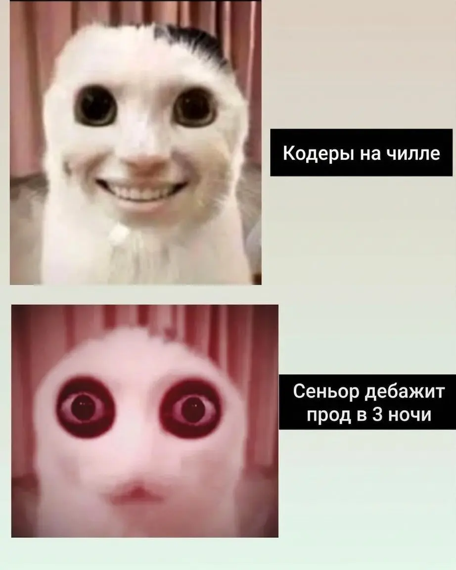 Если дочитал до сюда — точно подпишись! 🤡 | Сетка — социальная сеть от hh.ru