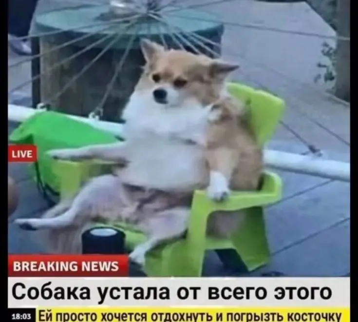 Привет, сетка✌️ | Сетка — социальная сеть от hh.ru