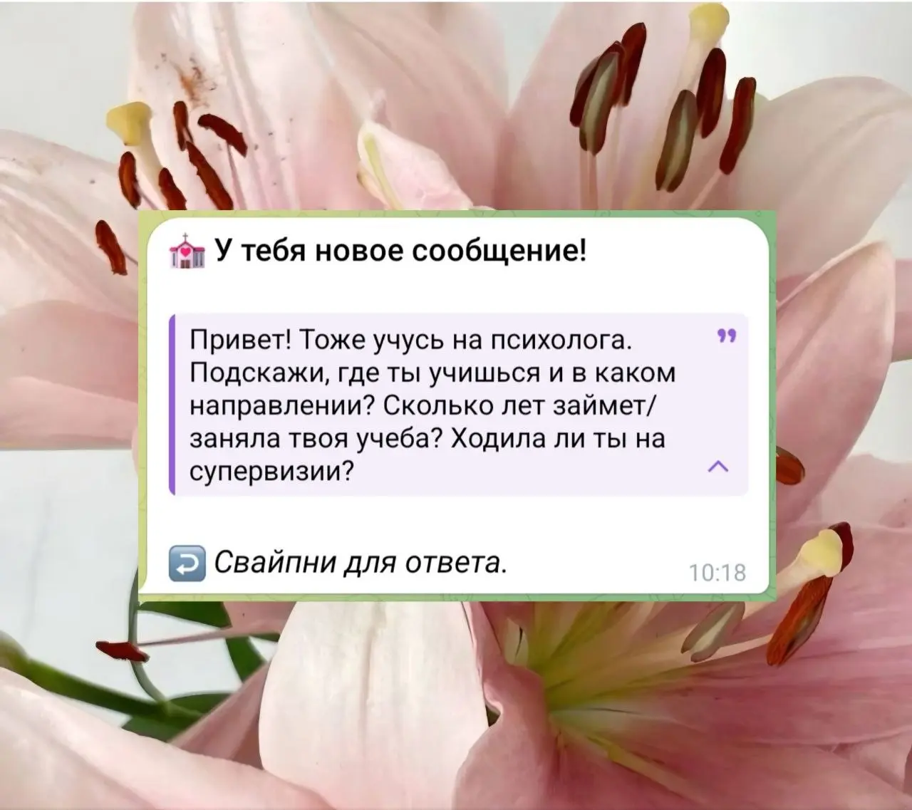 Ура, день ответа на вопросы!! 🔈
💓: «Где ты учишься и в каком направлении? Сколько лет займет/заняла твоя учёба? Ходила ли ты на супервизии?»
Я учусь в Тюменском государственном университете (ТюмГУ), н... | Сетка — социальная сеть от hh.ru