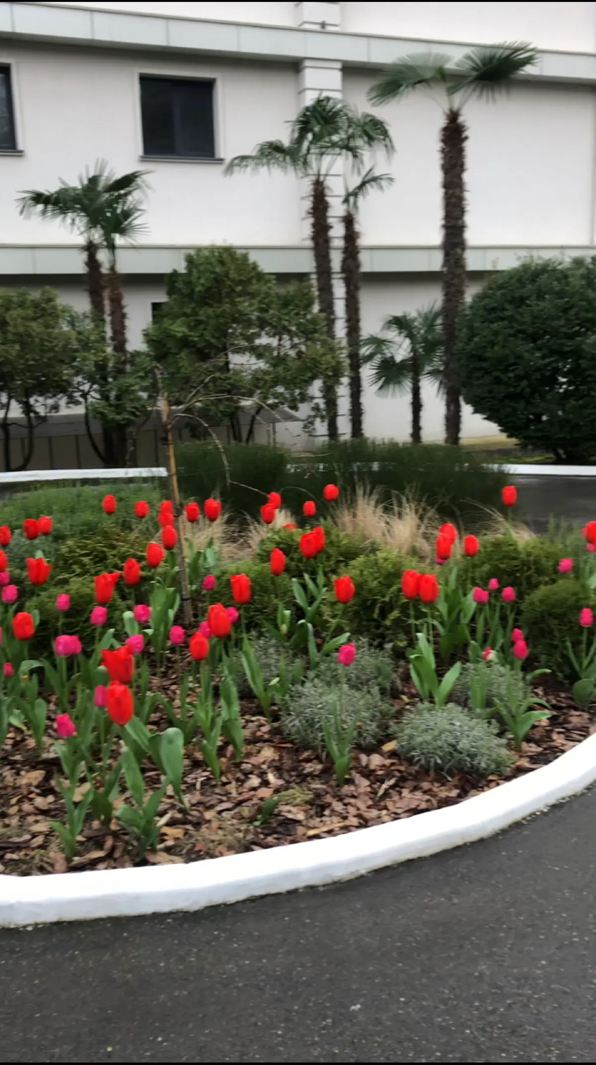 Как я провела «аудит ресурсов» и постигла дзен | Сетка — социальная сеть от hh.ru