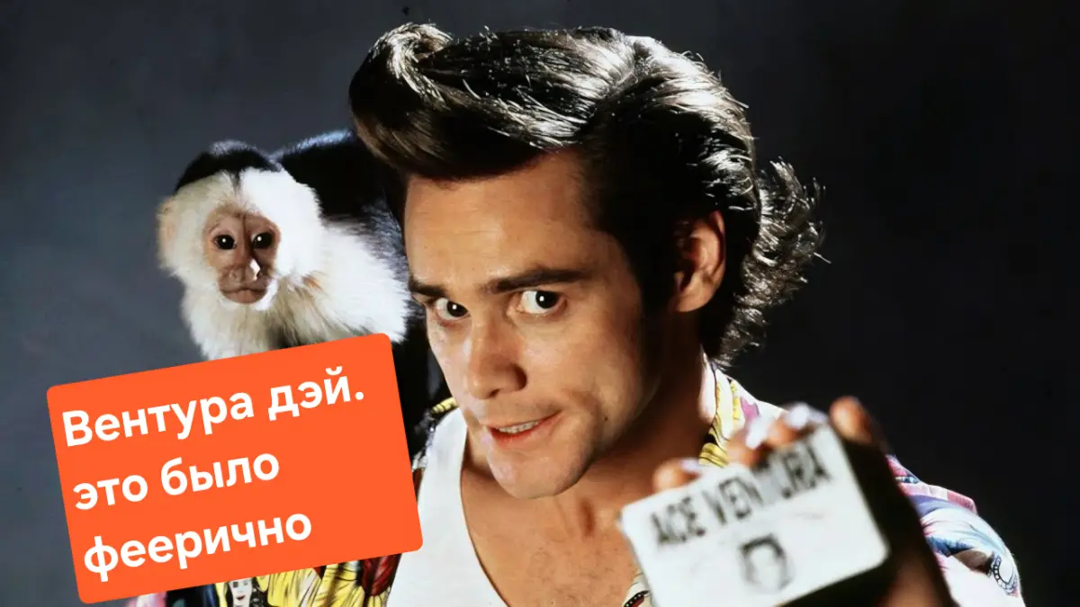 Вентура дэй | Сетка — социальная сеть от hh.ru