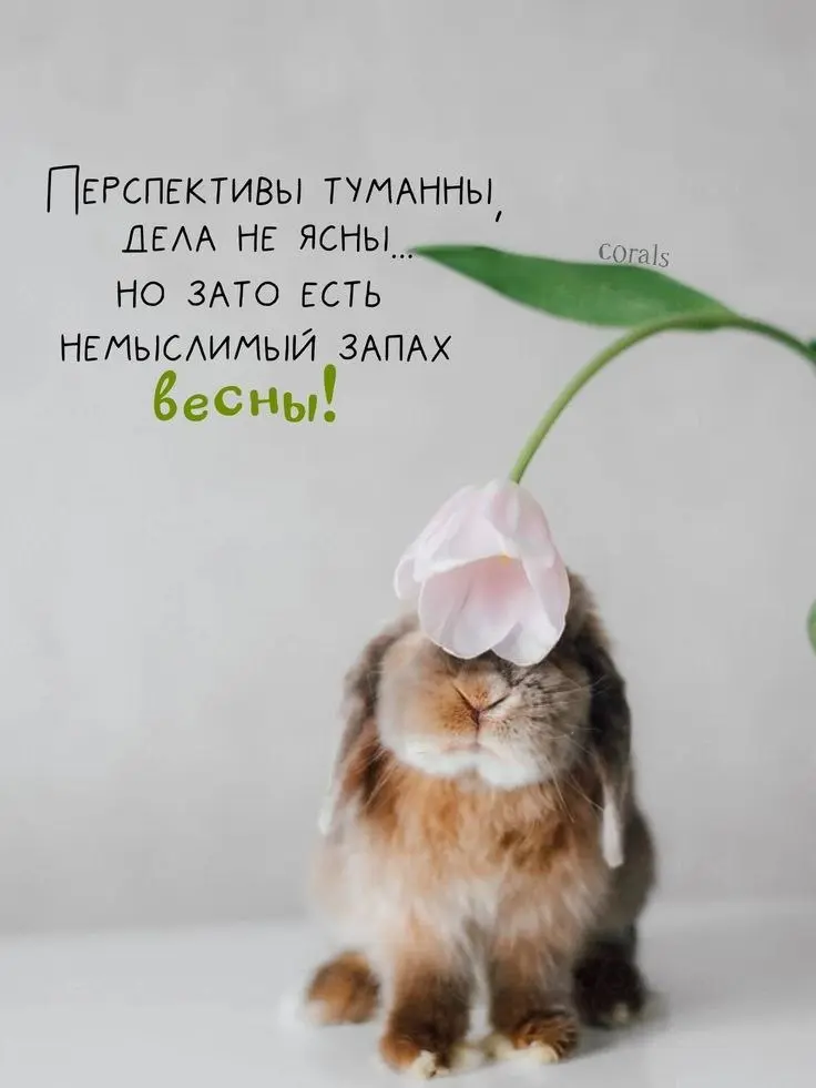 Все доброе утро!
И хорошего дня❤️ | Сетка — социальная сеть от hh.ru