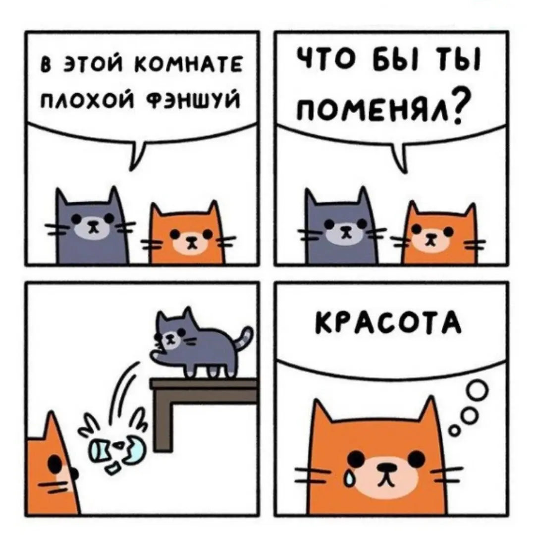 Ф - феншуй 😂
#Юмор@poldner    #Коты@poldner | Сетка — социальная сеть от hh.ru