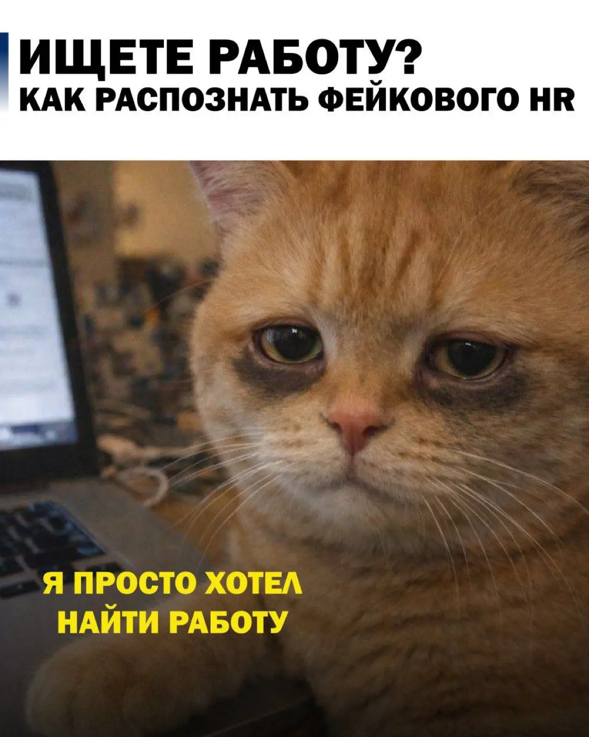 Ищете работу? Как распознать фейкового HR | Сетка — социальная сеть от hh.ru