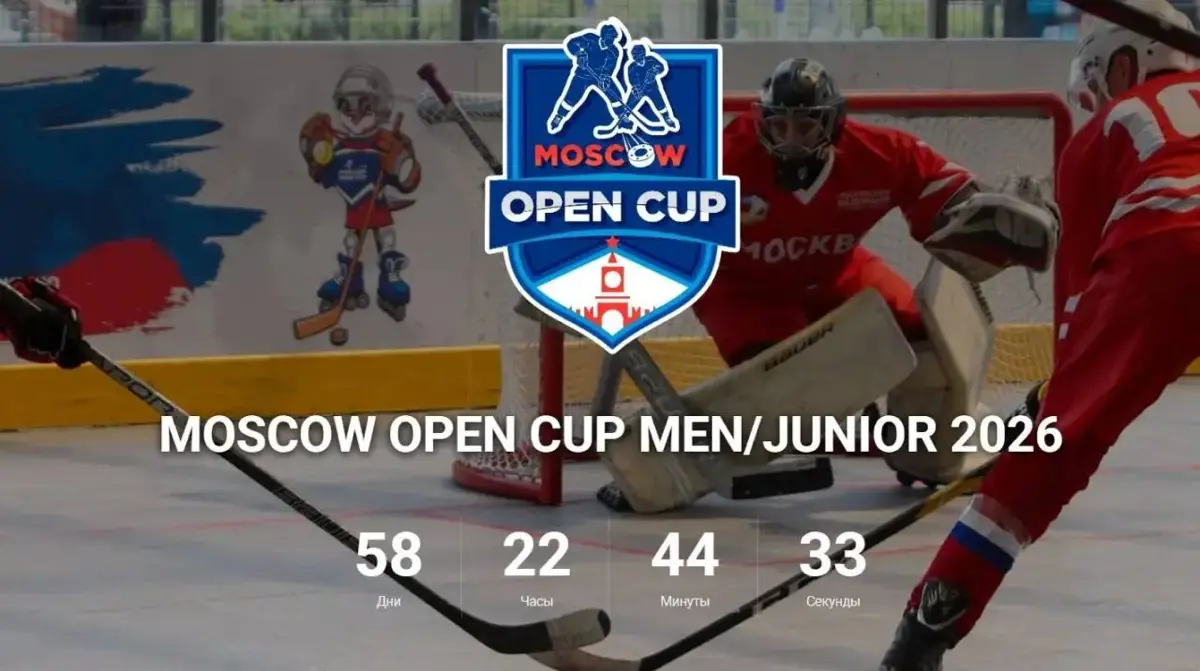 INLINE HOCKEY | Сетка — социальная сеть от hh.ru