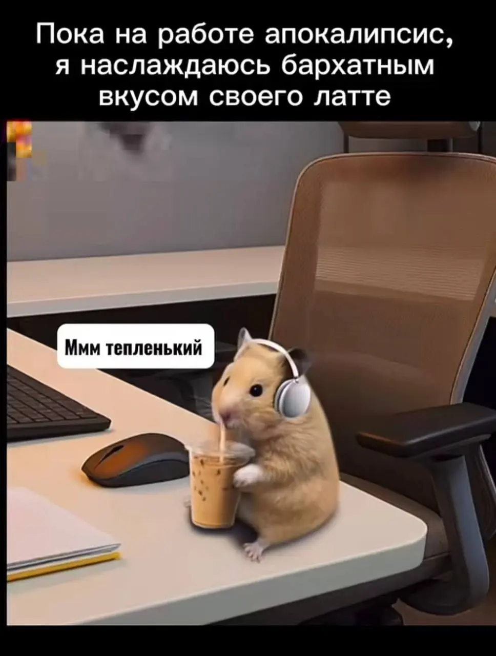 Мои ритуалы против выгорания: урок из офиса в мой мир HR-консалтинга
👋 Привет, мои хорошие, HR-семья и все, кто борется с усталостью четверга (и с замедлениям, при этом виртуозно как ниндзя 🥷 владеет ... | Сетка — социальная сеть от hh.ru